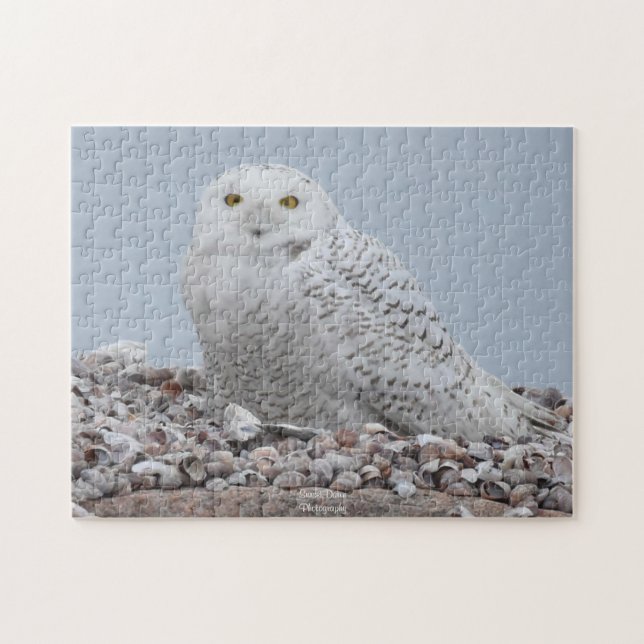 Snowy Owl on shells  Jigsaw Puzzle (Horizontal)
