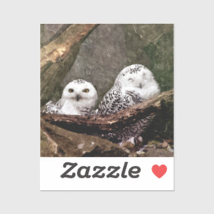 Snowy Owl Pair Woodland Wildlife Art