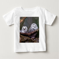 Snowy Owl Pair Woodland Wildlife Art