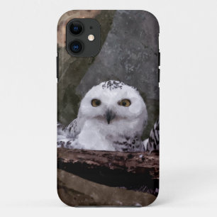 Snowy Owl Pair Woodland Wildlife Art iPhone 11 Case
