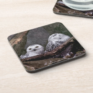 Snowy Owl Pair Woodland Wildlife Art Coaster