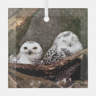 Snowy Owl Pair Woodland Wildlife Art Glass Tree Decoration