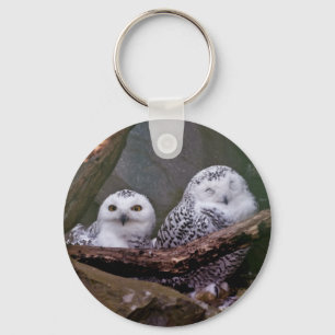 Snowy Owl Pair Woodland Wildlife Art Key Ring