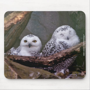 Snowy Owl Pair Woodland Wildlife Art Mouse Pad