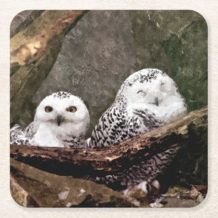 Snowy Owl Pair Woodland Wildlife Art Square Paper Coaster