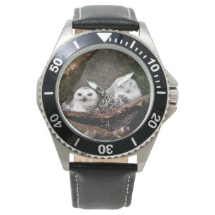 Snowy Owl Pair Woodland Wildlife Art Watch