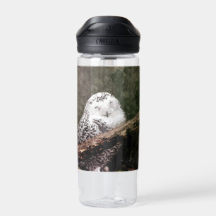 Snowy Owl Pair Woodland Wildlife Art Water Bottle
