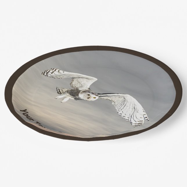 Snowy Owl Paper Plate (Angled)