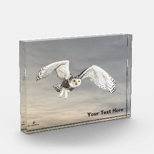 Snowy Owl Photo Block