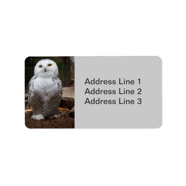 Snowy Owl  Photo Label (Front)