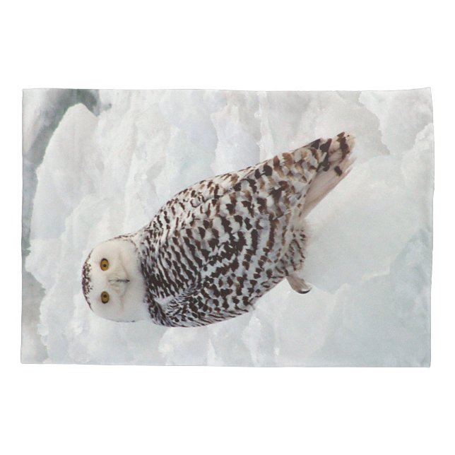 Snowy Owl pillow case (Back)