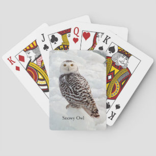 Snowy Owl playing cards