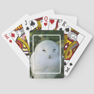 Snowy Owl Playing Cards