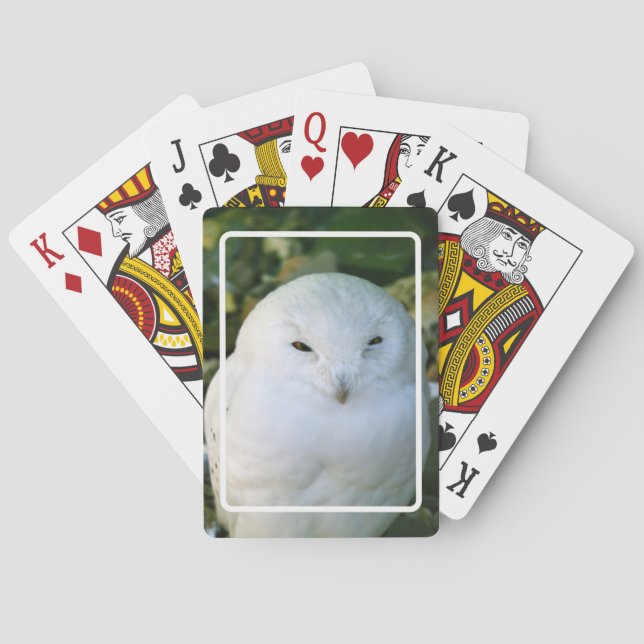 Snowy Owl Playing Cards (Back)