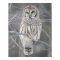 Snowy Owl Poster