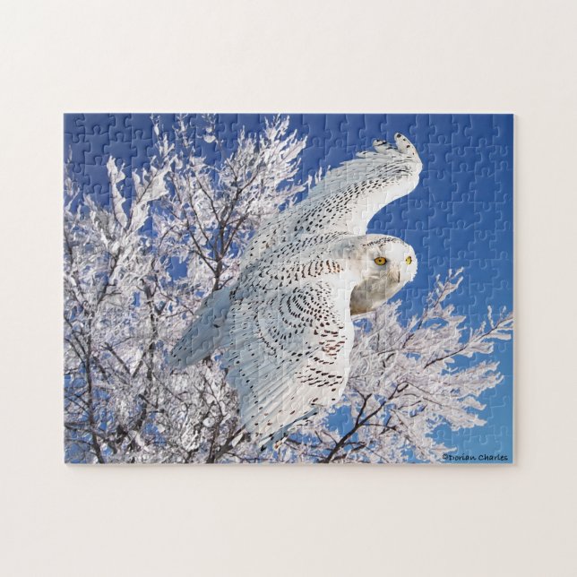 "Snowy Owl" Puzzle (Horizontal)