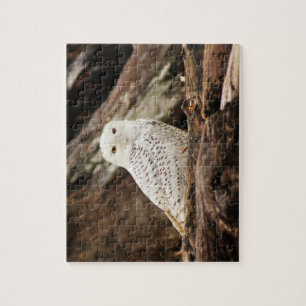 Snowy Owl Puzzle