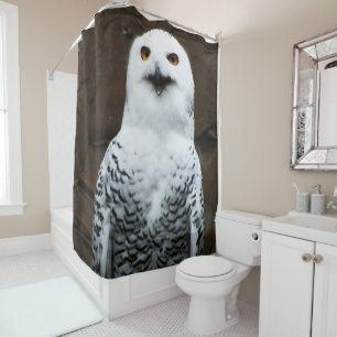 Snowy Owl sccn Shower Curtain