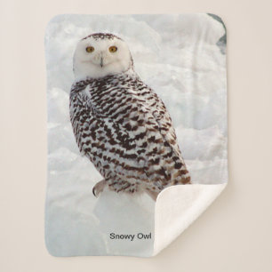 Snowy Owl Sherpa Blanket