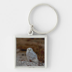 Snowy owl sitting on a rock key ring