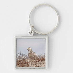 Snowy owl sitting on the beach key ring