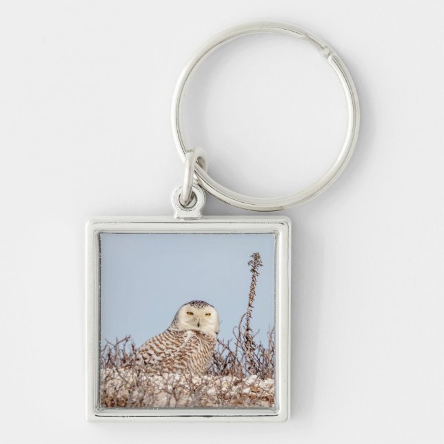 Snowy owl sitting on the beach key ring (Front)