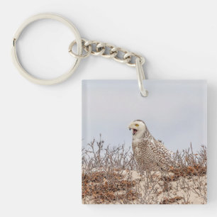 Snowy owl sitting on the beach key ring
