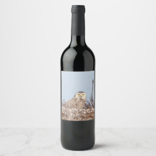Snowy owl sitting on the beach wine label