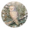 SNOWY OWL & SNOWFLAKES by SHARON SHARPE