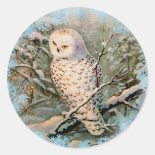 SNOWY OWL & SNOWFLAKES by SHARON SHARPE Classic Round Sticker