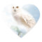 Snowy Owl