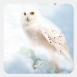 Snowy Owl Square Sticker