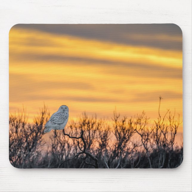 Snowy Owl Sunset Mouse Pad (Front)