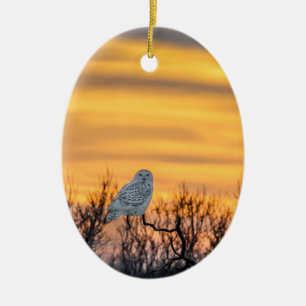 Snowy Owl Sunset Ornament