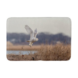 Snowy owl taking off bath mat