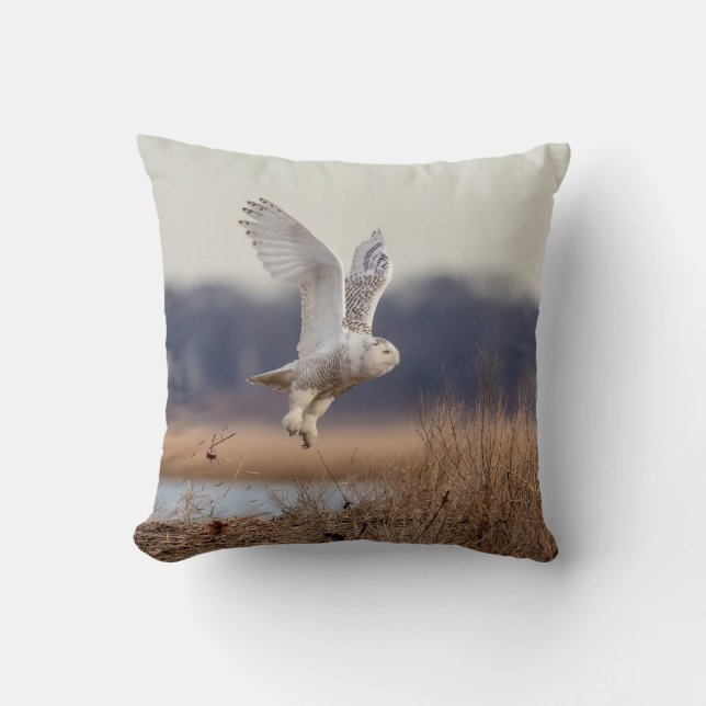 Snowy owl taking off cushion (Front)