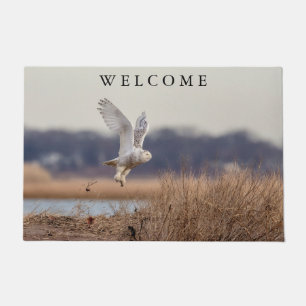 Snowy owl taking off doormat