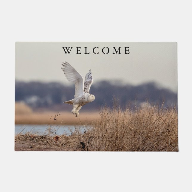 Snowy owl taking off doormat (Front)