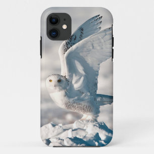 Snowy Owl taking off from snow iPhone 11 Case