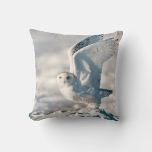 Snowy Owl taking off from snow Cushion