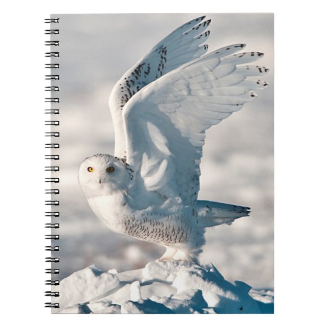 Snowy Owl taking off from snow Notebook (Front)
