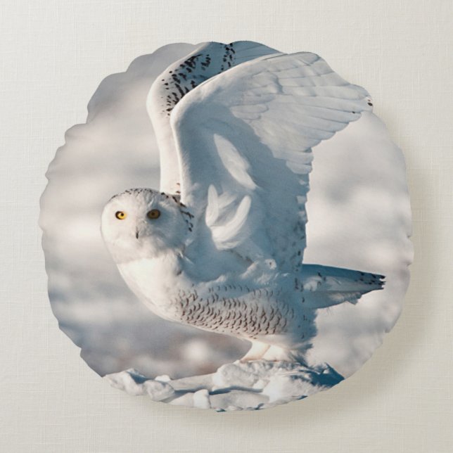 Snowy Owl taking off from snow Round Cushion (Front)