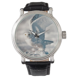 Snowy Owl taking off from snow Watch