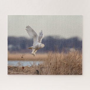 Snowy owl taking off jigsaw puzzle