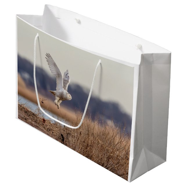Snowy owl taking off large gift bag (Front Angled)