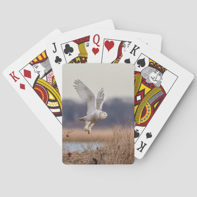 Snowy owl taking off playing cards (Back)