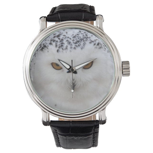 Snowy Owl Watch (Front)