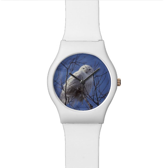 Snowy Owl, White Bird against a Sapphire Blue Sky Watch (Close Up)