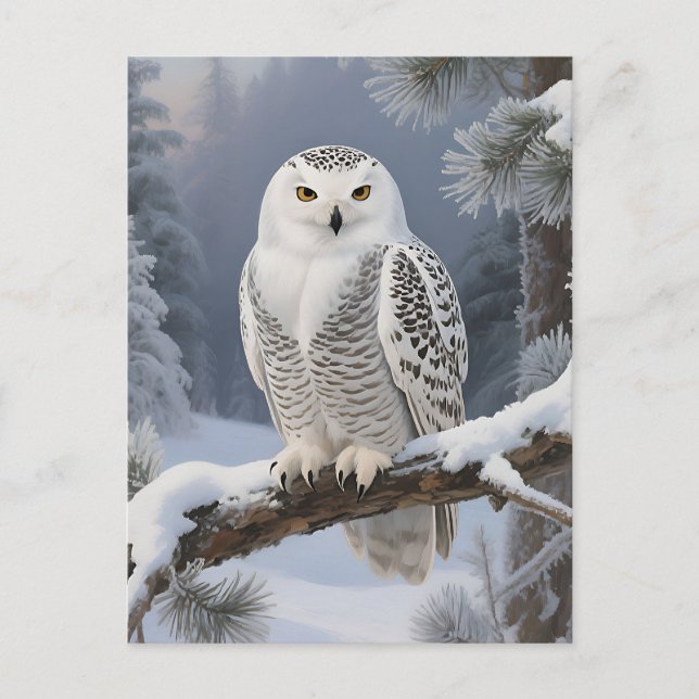 Snowy Owl Winter Portrait Postcard (Front)