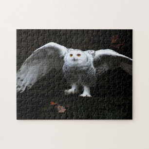 Snowy Owl With Open Wings 11x14 252pc jpcna Jigsaw Puzzle